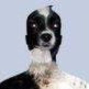 Meet your Posher, Richard